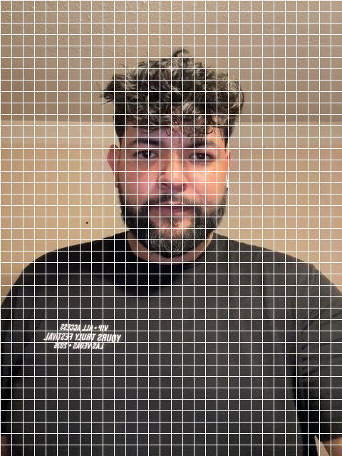 Selfie reference with an opaque white grid across the whole photo